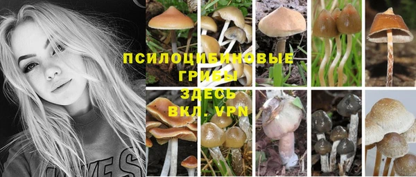 первитин Армянск