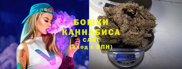 ГАЛЛЮЦИНОГЕННЫЕ ГРИБЫ Арсеньев